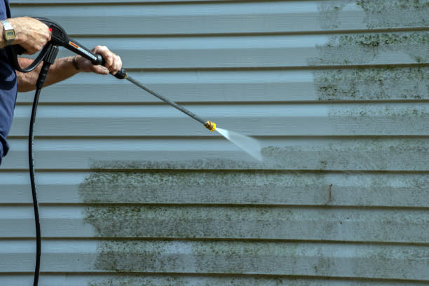 Best Driveway Pressure Washing  in Berne, IN